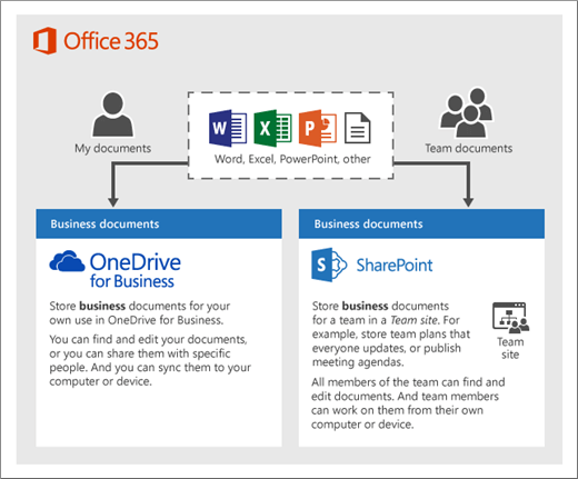 Office 365 Sharing