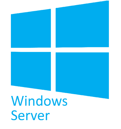 windows server support