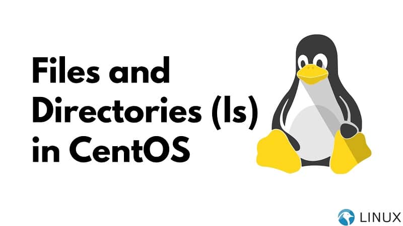 Files and Directories (ls) in CentOS